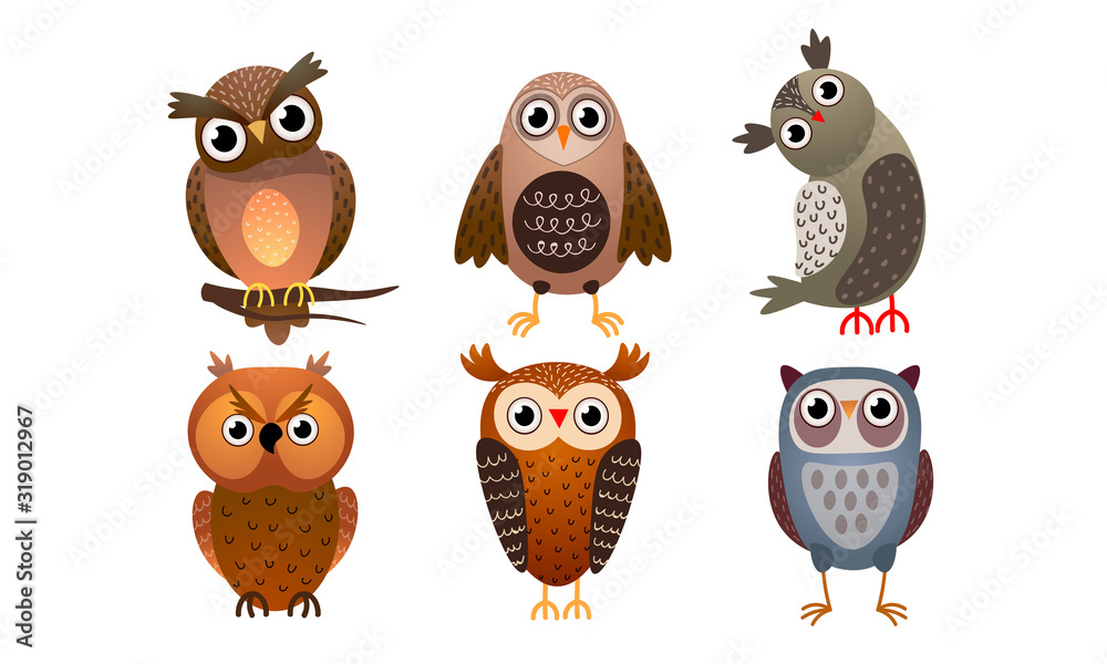 Set of various cute colorful owls. Vector illustration in flat cartoon style.