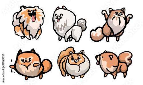 Set of cute spitz dog characters in different actions. Vector illustration in flat cartoon style.