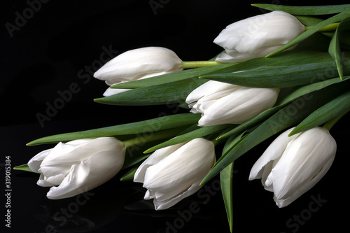 eleganckie-biale-tulipany-na-czarnym-tle
