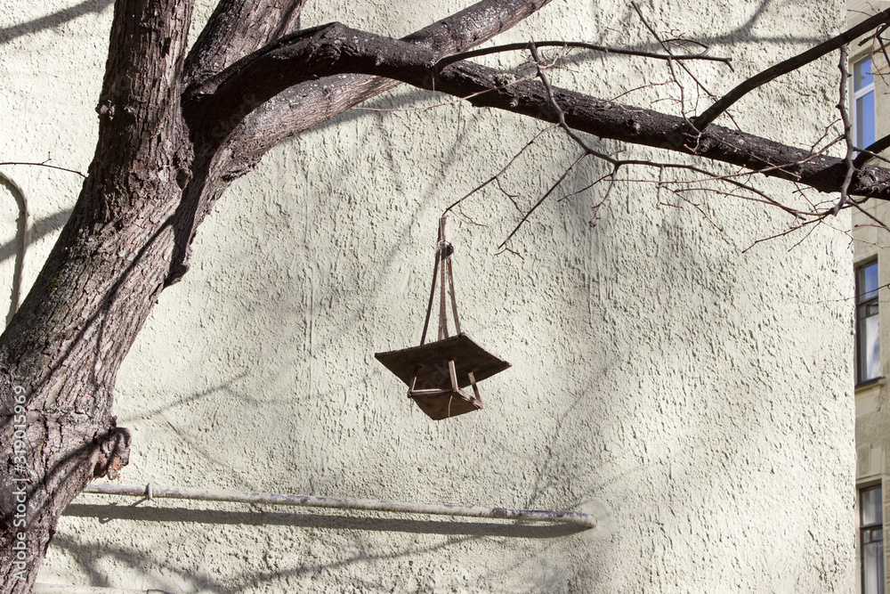 An empty feeding trough is hanging on a branch of a bare tree against the background of a stone wall of a house