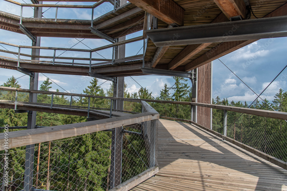 Treetop Walkway lignting, Sightseeing trail in tree crowns. Treetop Walkway lignting, Sightseeing trail in tree crowns.