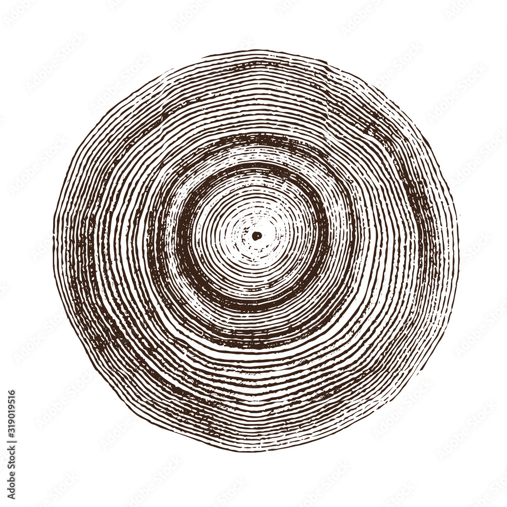 Monotone wood texture stamp. Detailed tree ring design. Rough organic tree  rings with close up of end grain. Stock Vector | Adobe Stock