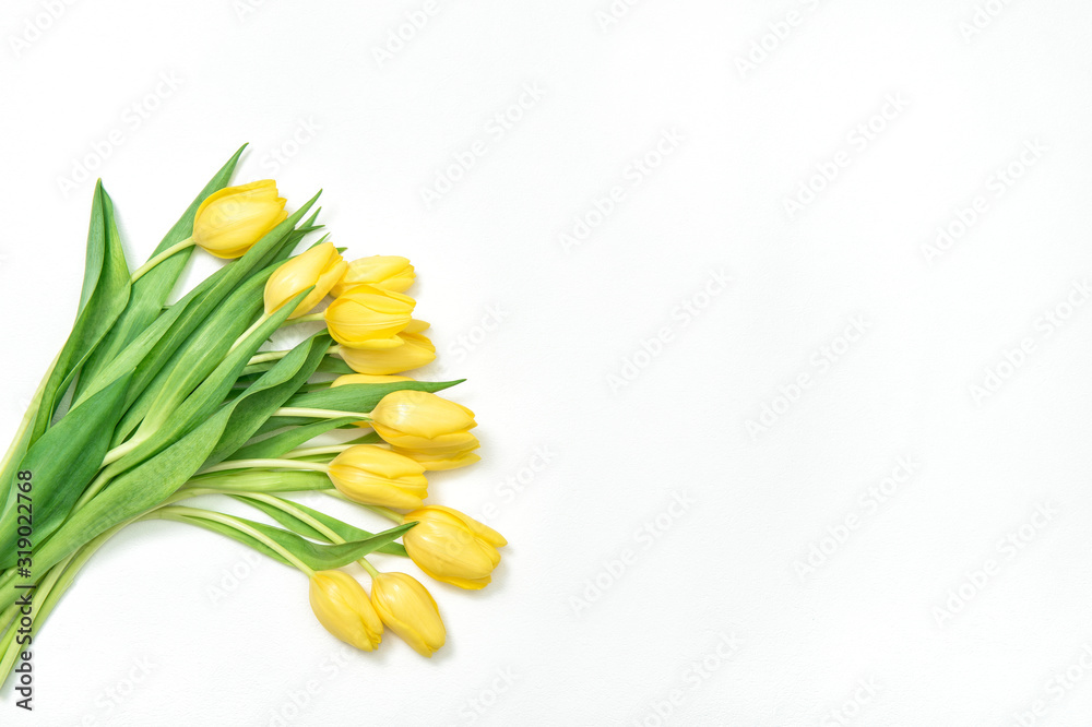 Spring yellow tulip flowers bouquet white background