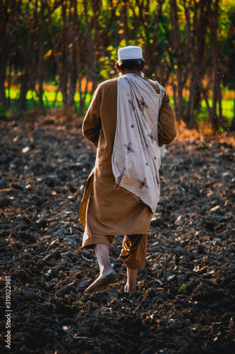 Farmer Fertilizing The Farm