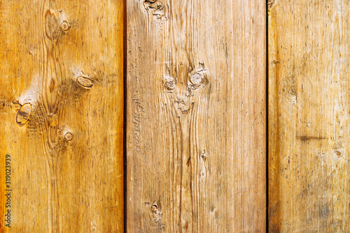 Old wood texture. Old panels background