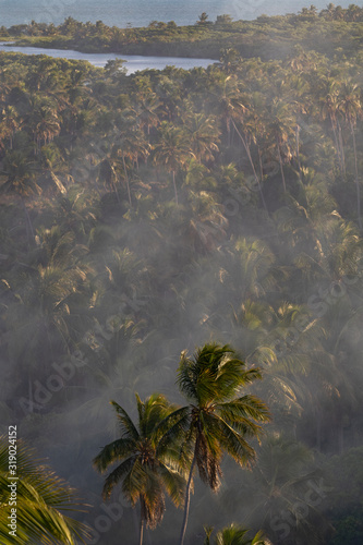 Porto de Pedras / Alagoas / Brazil. December, 30, 2019. View of Tatuamunha beach in Alagoas, northeastern Brazil during early summer.  photo