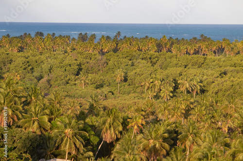 Porto de Pedras / Alagoas / Brazil. December, 30, 2019. View of Tatuamunha beach in Alagoas, northeastern Brazil during early summer.  photo