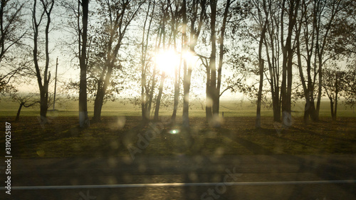 View from the car window on the fields and trees. Sun. Selective focus on the movement of the car. Dirt drops on the glass