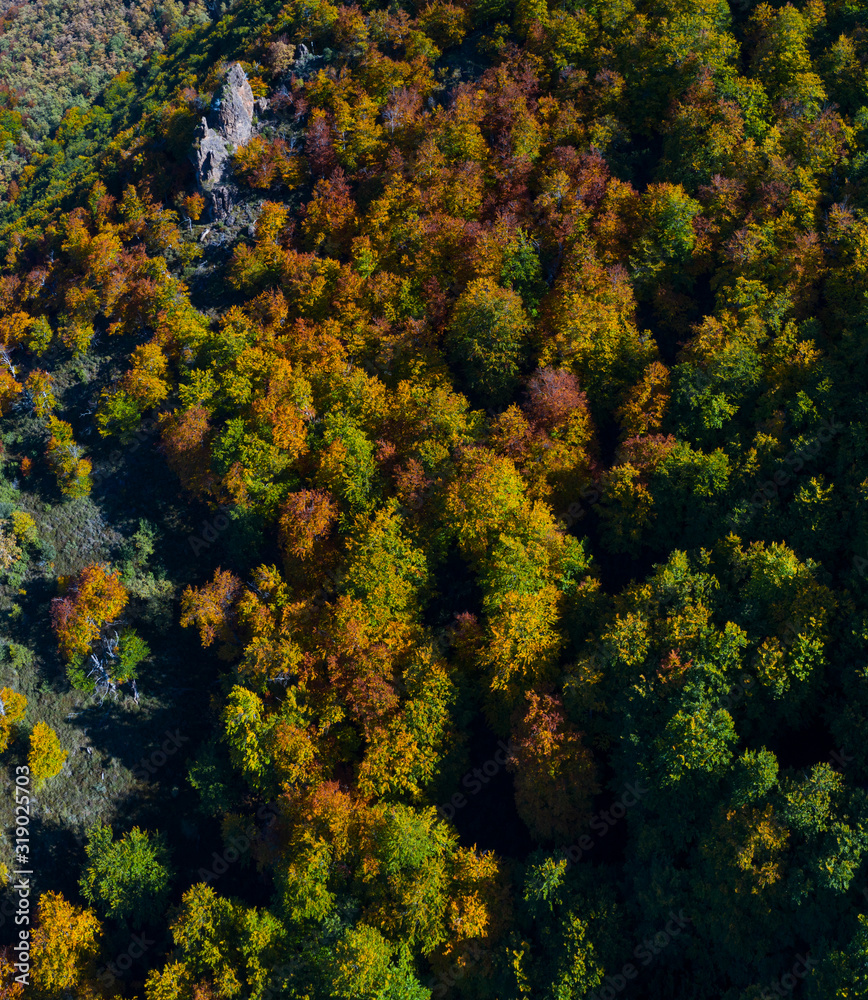 Forest in autumn in the Tobía River Valley, La Rioja, Spain, Europe Forest in autumn in the Tobía River Valley, La Rioja, Spain, Europe