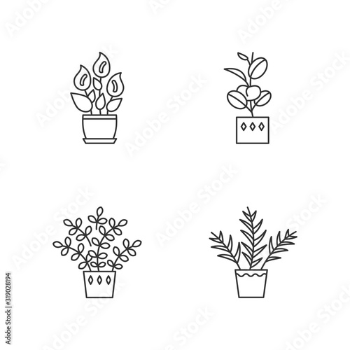 Indoor plants pixel perfect linear icons set. Houseplants. Peace lily  zz plant. Parlor palm  ficus. Customizable thin line contour symbols. Isolated vector outline illustrations. Editable stroke