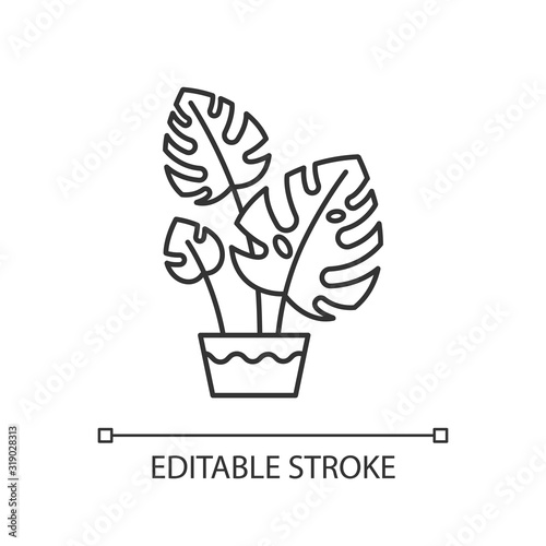 Monstera deliciosa pixel perfect linear icon. Swiss cheese plant. Philodendron with split leaves. Thin line customizable illustration. Contour symbol. Vector isolated outline drawing. Editable stroke
