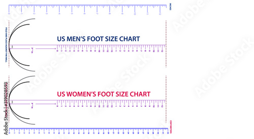 set of shoes chart size or socks chart size or measurement foot chart concept. Eps 10 vector, easy to modify 