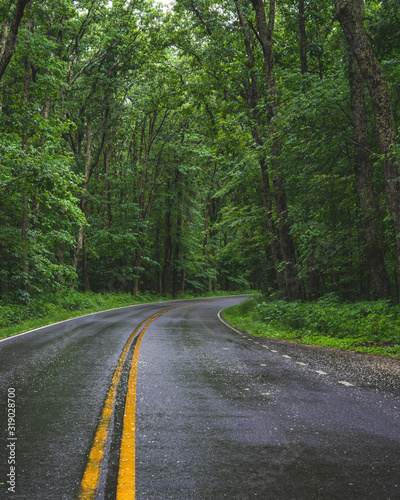 Rainy Road in Shenandoah National Park