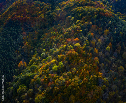 Forest in autumn in the Monastery of Valvanera, La Rioja, Spain, Europe