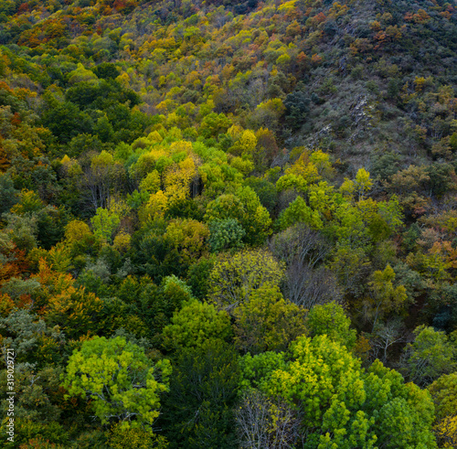Forest in autumn in the Monastery of Valvanera, La Rioja, Spain, Europe © JUAN CARLOS MUNOZ