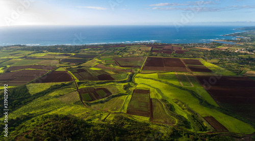 Aerial view of farmland along the coast of the north shore of Oahu Hawaii