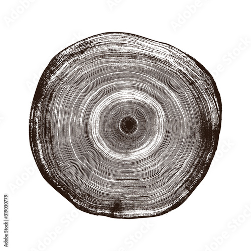 Monotone wood texture stamp. Detailed tree ring design. Rough organic tree rings with close up of end grain.