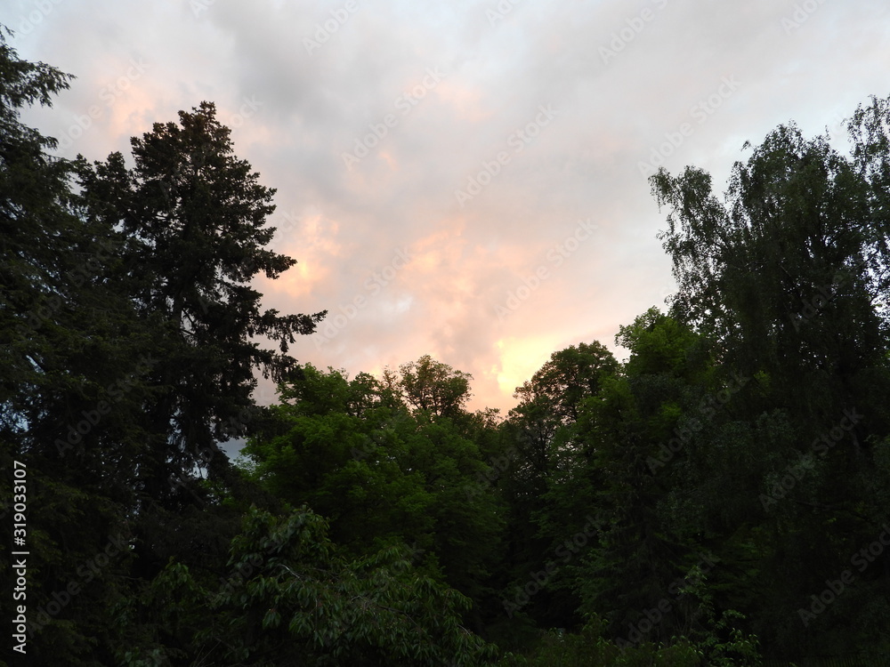 Der Himmel über dem Park Der Himmel über dem Park