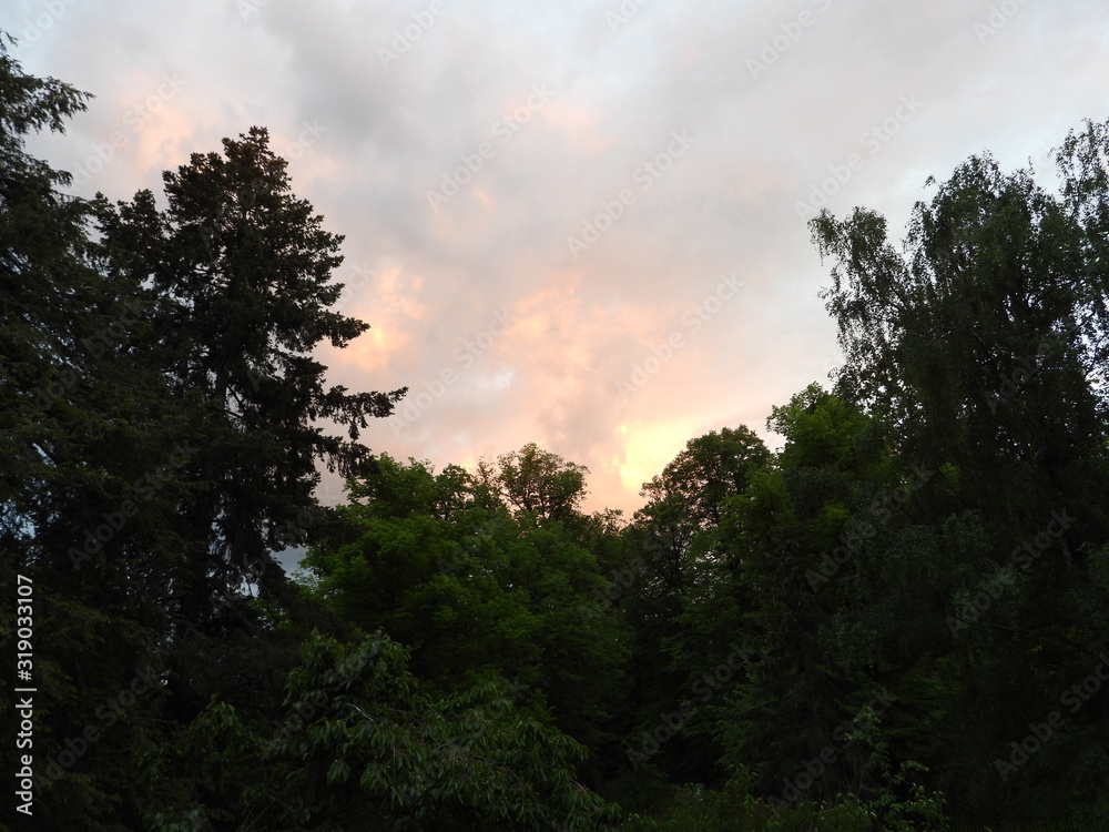 Der Himmel über dem Park 