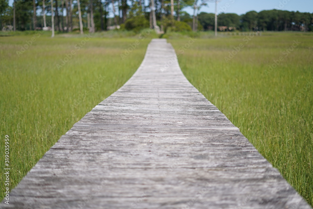 Long Walk Long Walk