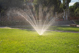Lawn sprinkler spraying water over lawn green fresh grass on a hot summer day. The concept of automatic watering equipment, lawn care, gardening and tools