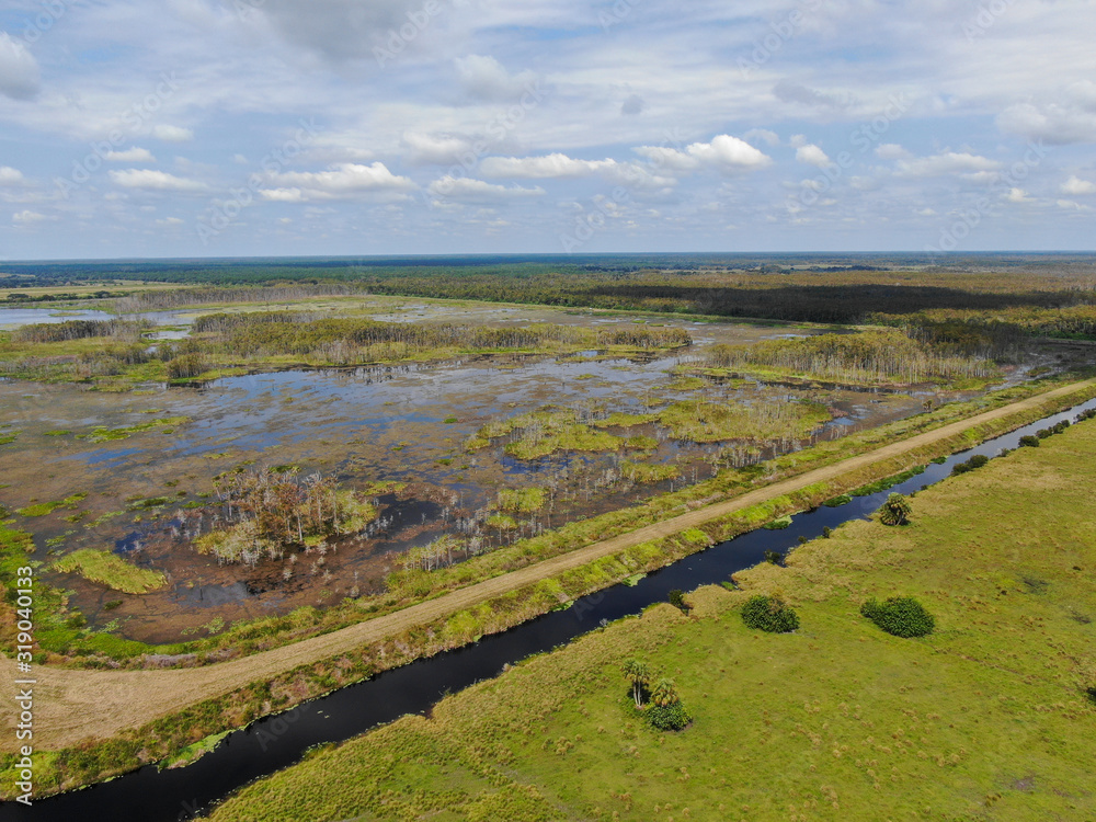 Aerial View of Swamp