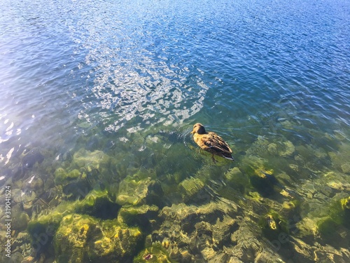 Bled lake landscape in Slovenia
