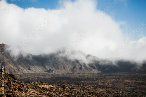 volcanic rock in the Canary Islands