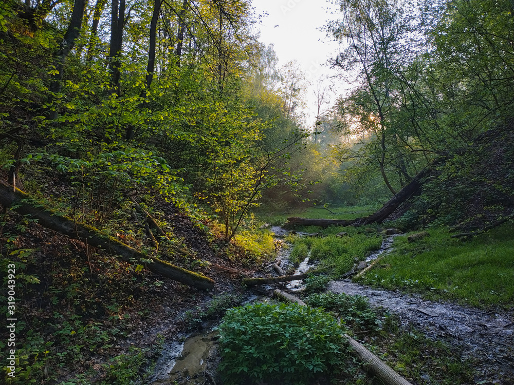 Muddy road in rural path at the forest with creek. Muddy road in rural path at the forest with creek.