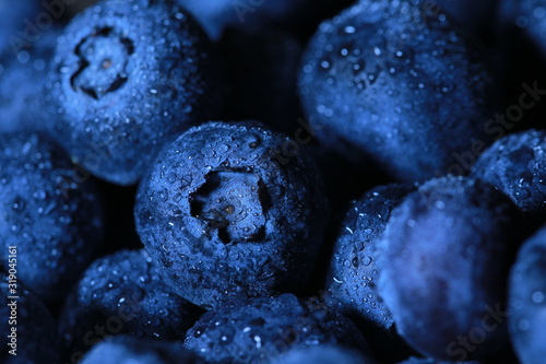 Bleuets frais