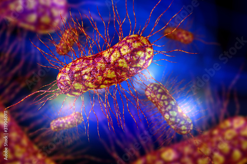 E.Coli Bacteria Cells 3D Illustration photo