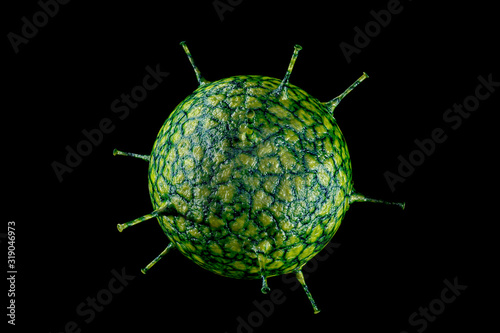 Rhinovirus Common Cold 3D Illustration