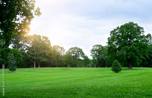 Fresh air and beautiful natural landscape of meadow with green tree  in the sunny day for summer background, Beautiful lanscape of grass field with forest trees and enviroment public park with sun ray photo