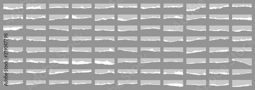 Torn sheets of paper with shadow on an isolated background. Torn paper set. Paper waste. Vector graphics