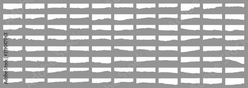 Torn paper. Tear paper. Piece of paper. Torn tetra. The wind. Illustration in a flat style on a light background.