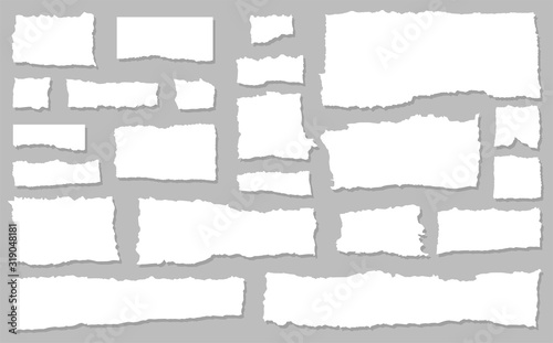 Torn paper. Tear paper. Piece of paper. Torn tetra. The wind. Illustration in a flat style on a light background.
