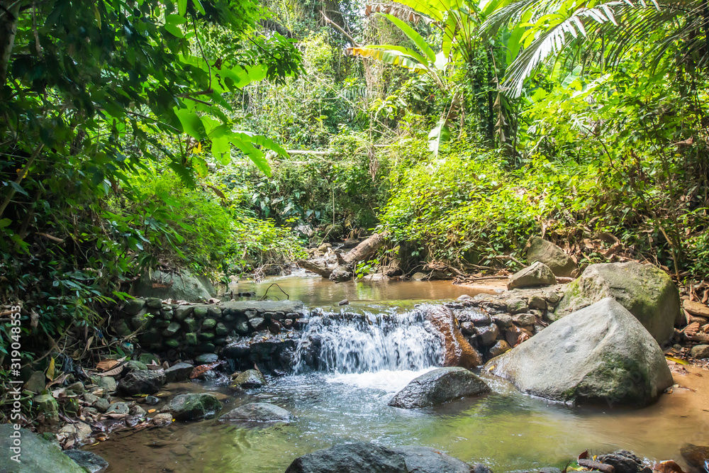 Obraz premium Kathu Waterfall in the tropical forest area In Asia, suitable for walks, nature walks and hiking, adventure photography Of the national park Phuket Thailand,Suitable for travel and leisure.