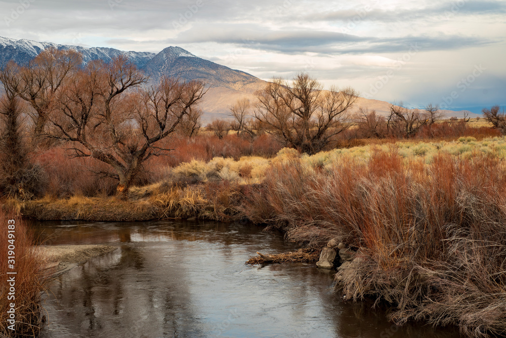 riverside plants in valley desert autumn landscape in Sierra Nevada mountains riverside plants in valley desert autumn landscape in Sierra Nevada mountains
