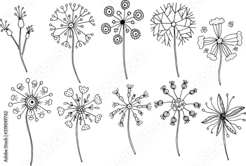 Vintage floral and herbal set. Graphic collection with fantasy flowers of dandelion. Hand drawn elements. Botanical sketches on a black background.