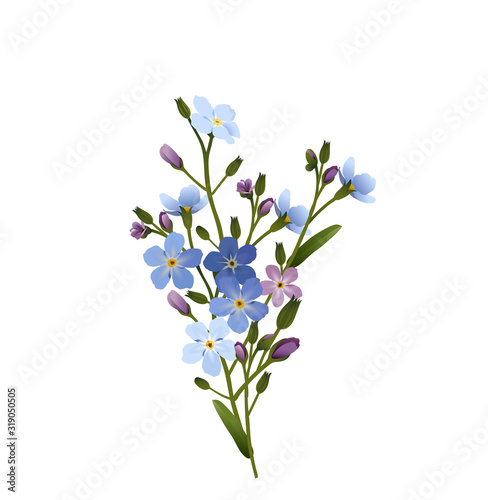 Vergissmeinnicht Blumen Gruppe, Vektor Illustration isoliert auf weißem Hintergrund
