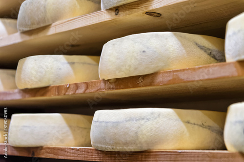 Stack of aging Cheese on wooden shelves at maturing cellar of Franche Comte creamery in France