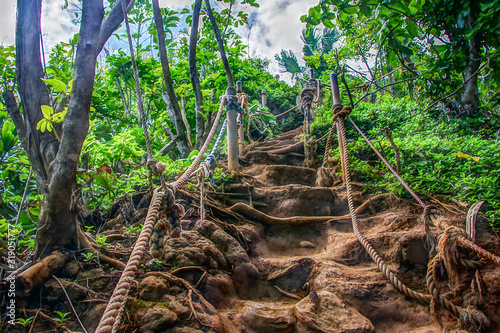 Fényképezés Princeville, Kauai, HI USA 04/16/19: Overgrown treacherous stairs to Hideaway Beach