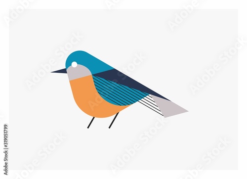Colorful Bird Illustration 15