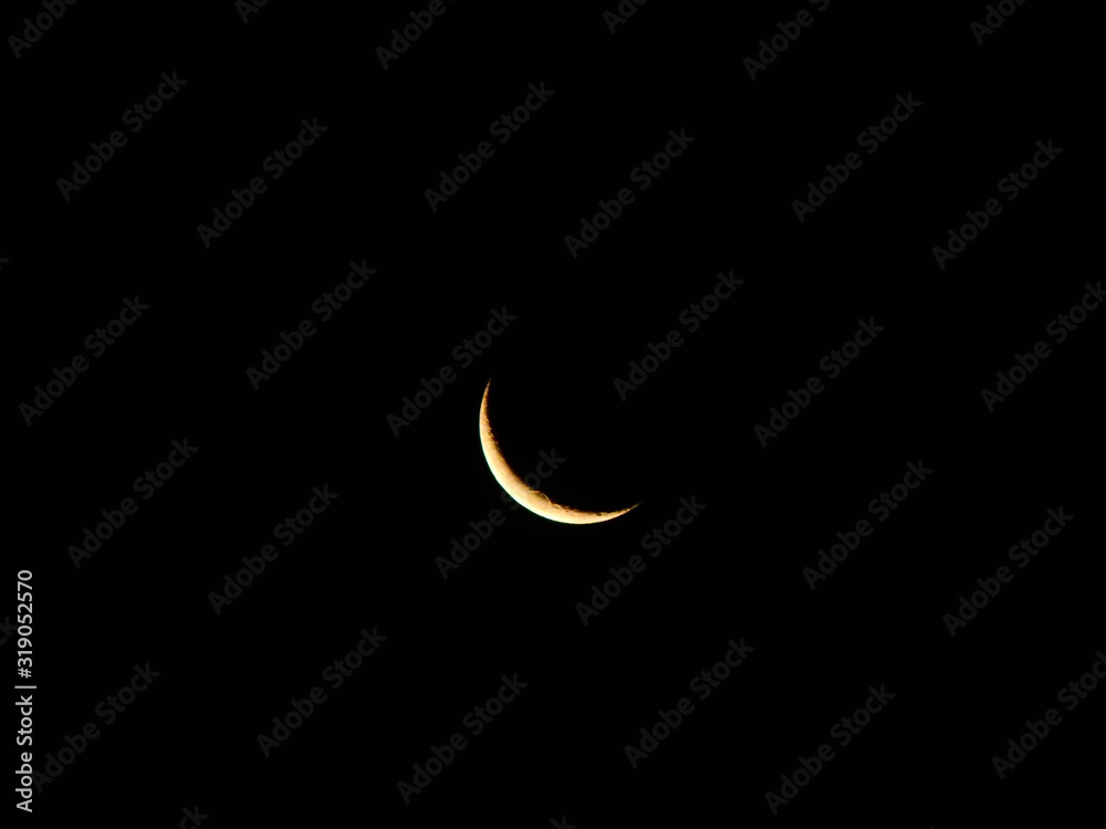 Moon Moon
