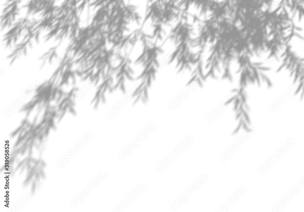 Plakat Summer background of shadows of leaf branches on a white wall. Blurry black-and-white image to overlay on a photo or mockup.