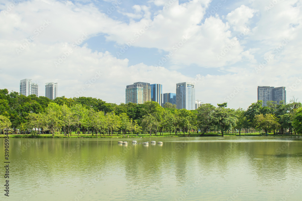 Tropical view of City public park with lake and green trees in background.