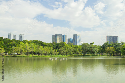 Fototapeta Naklejka Na Ścianę i Meble -  Tropical view of City public park with lake and green trees in background.