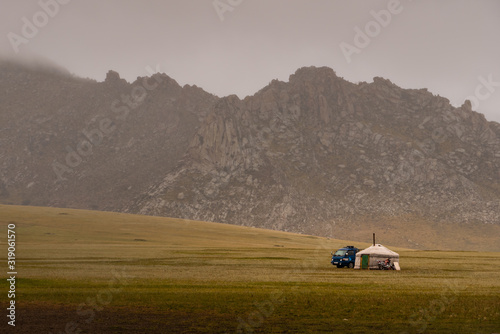 Lone ger foggy morning
