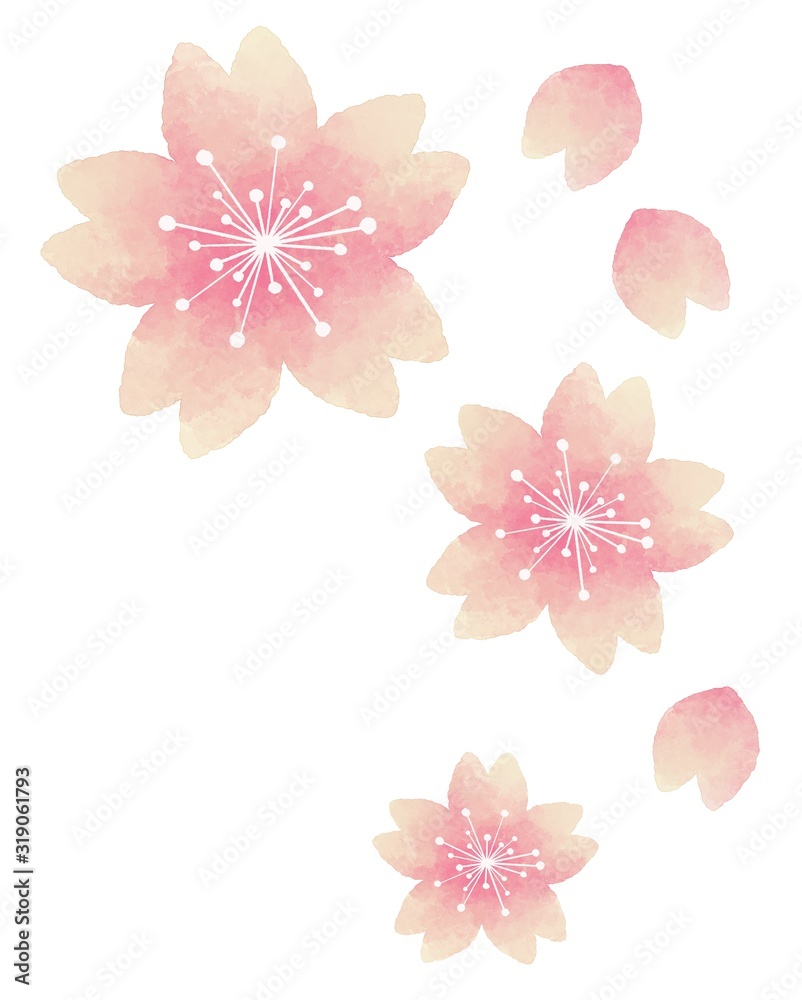 桜の花 飾り 水彩風イラスト Stock Illustration Adobe Stock