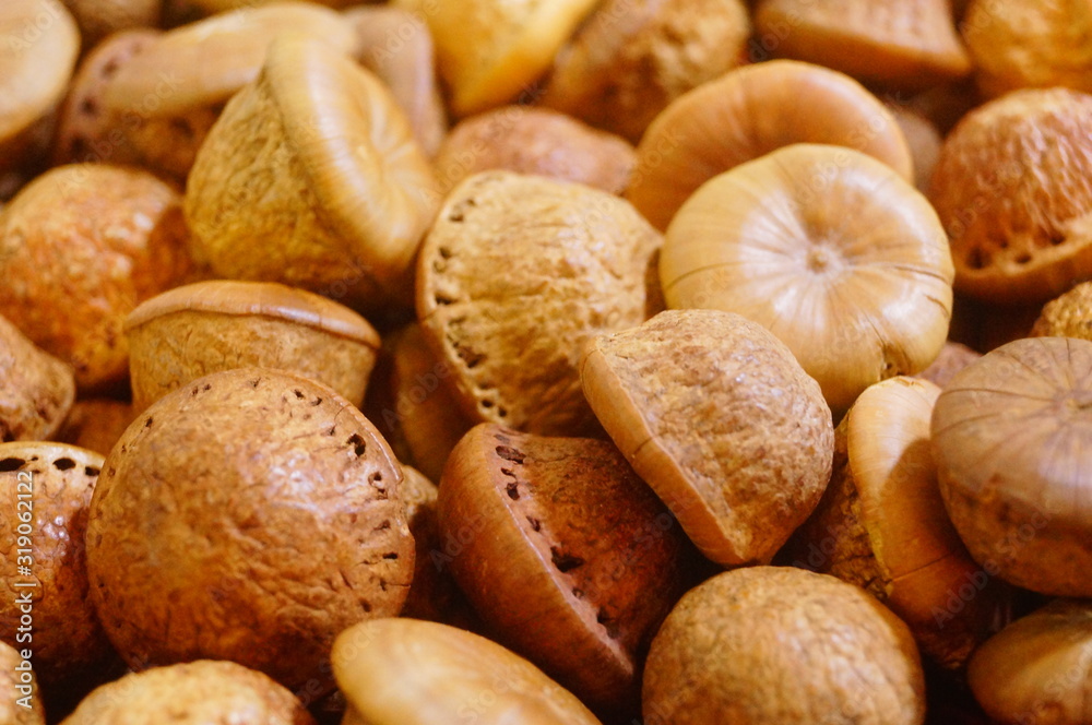 Kidney fruit